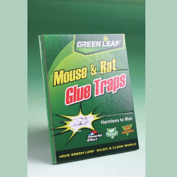 MOUSE GLUE TRAP (GATO DE PAPEL)